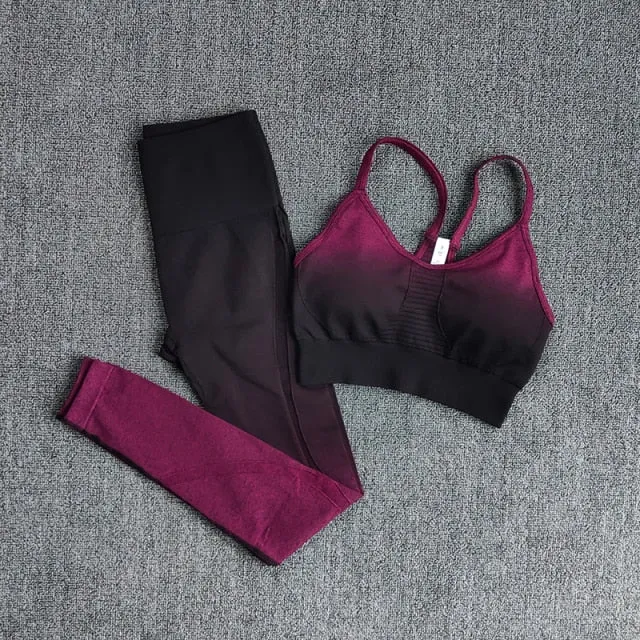 Ombre Women Yoga Set Workout Long Sleeve Crop Top Sports Bra Seamless