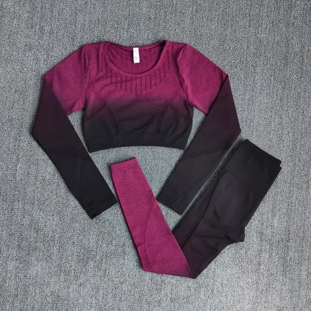 Ombre Women Yoga Set Workout Long Sleeve Crop Top Sports Bra Seamless