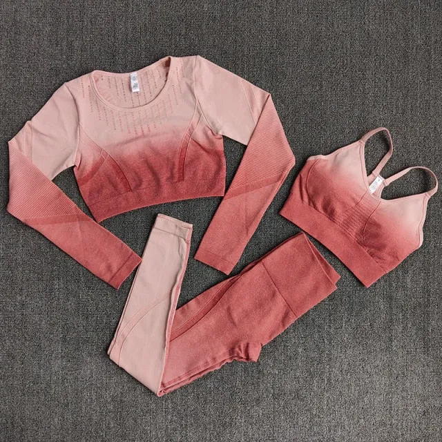 Ombre Women Yoga Set Workout Long Sleeve Crop Top Sports Bra Seamless