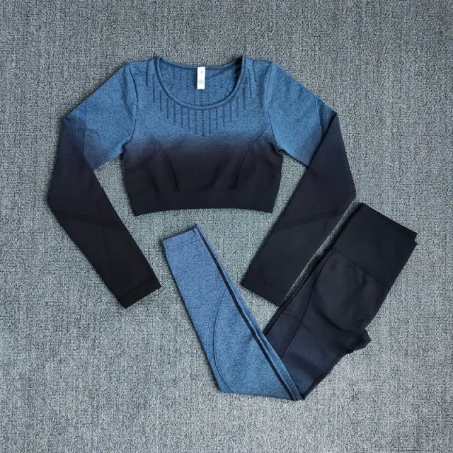 Ombre Women Yoga Set Workout Long Sleeve Crop Top Sports Bra Seamless