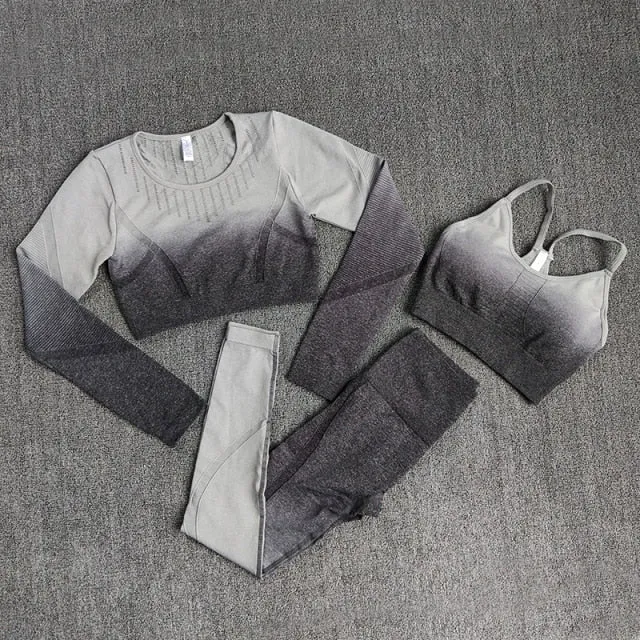 Ombre Women Yoga Set Workout Long Sleeve Crop Top Sports Bra Seamless