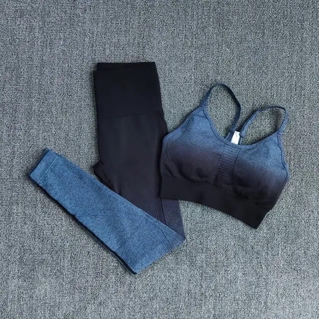 Ombre Women Yoga Set Workout Long Sleeve Crop Top Sports Bra Seamless