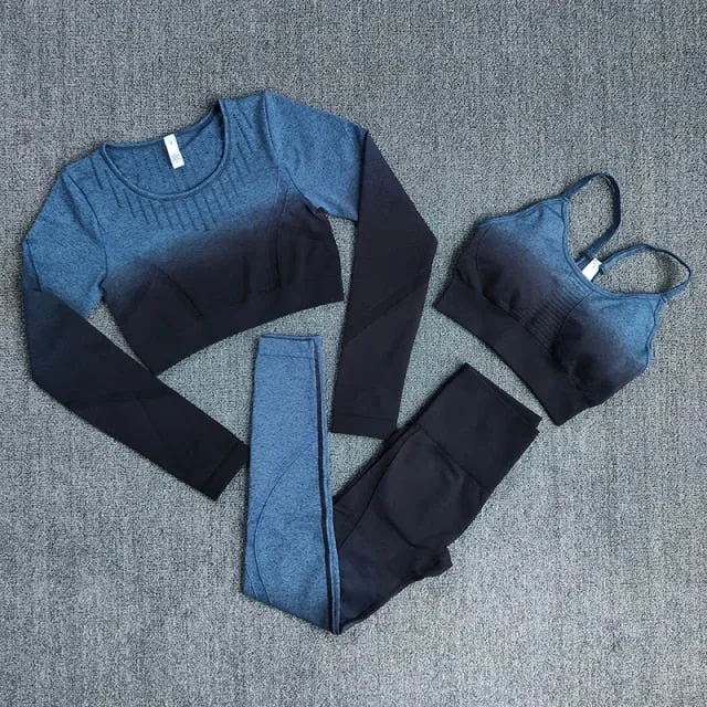 Ombre Women Yoga Set Workout Long Sleeve Crop Top Sports Bra Seamless