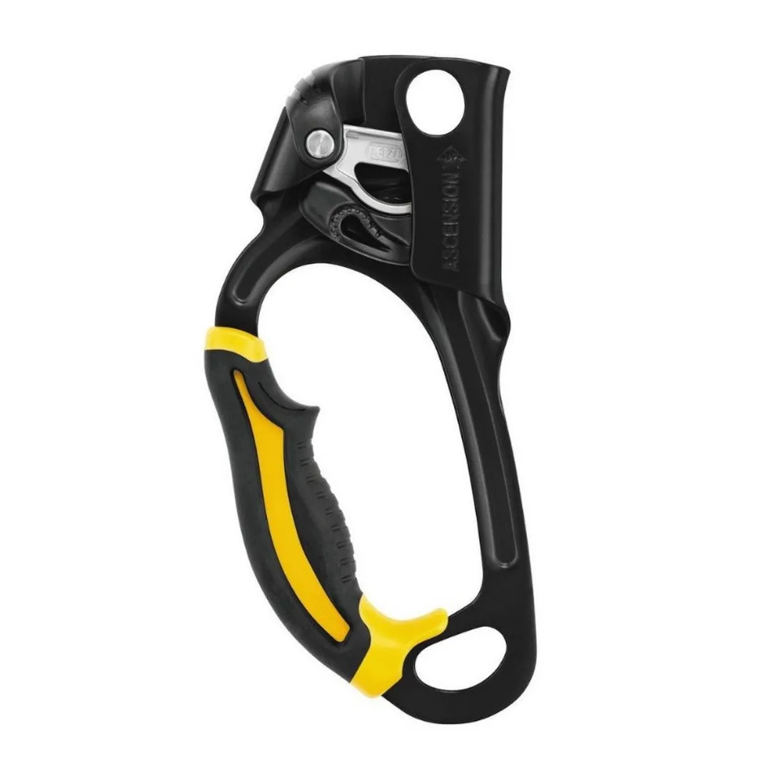 PETZL Ascension