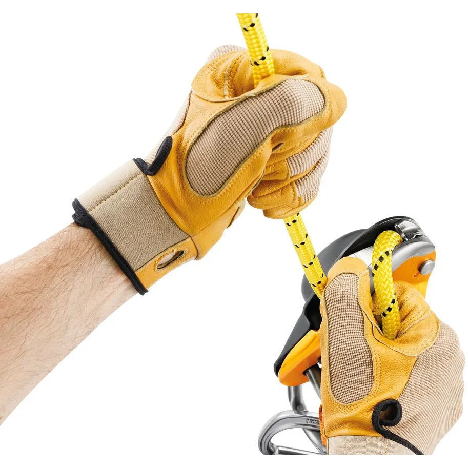 Rig Descender