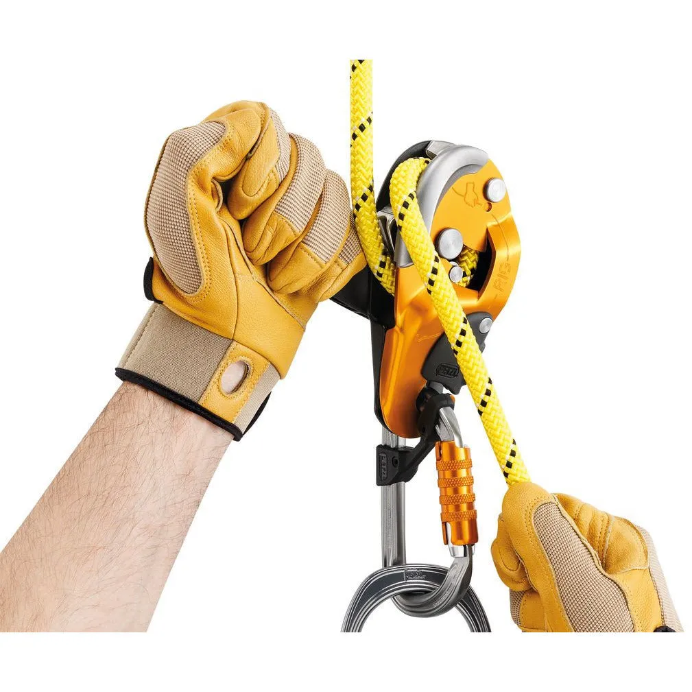 Rig Descender